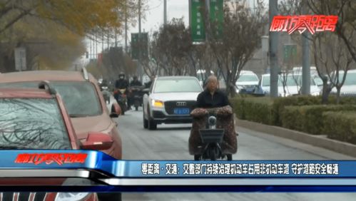 交警嚴管與源頭治理雙管齊下，守護道路安全暢通
