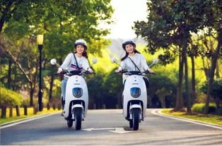 4月15日后電動車、三輪車上牌指南 你最關心的問題都在這